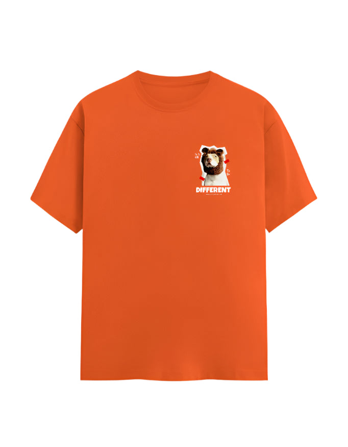 Front_1_c_33.jpg